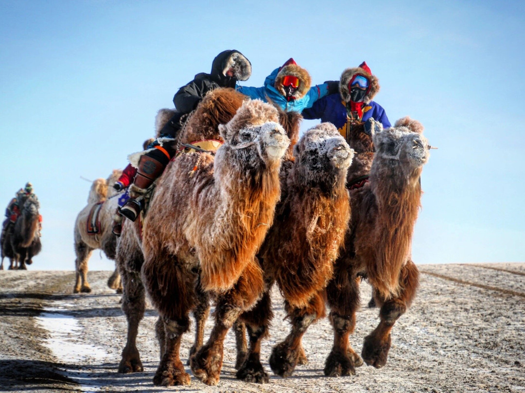 Bilguun-哈特高必去景点