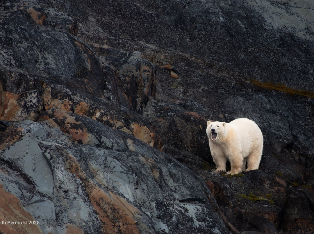 Discover Churchill Tours-丘吉尔必去景点