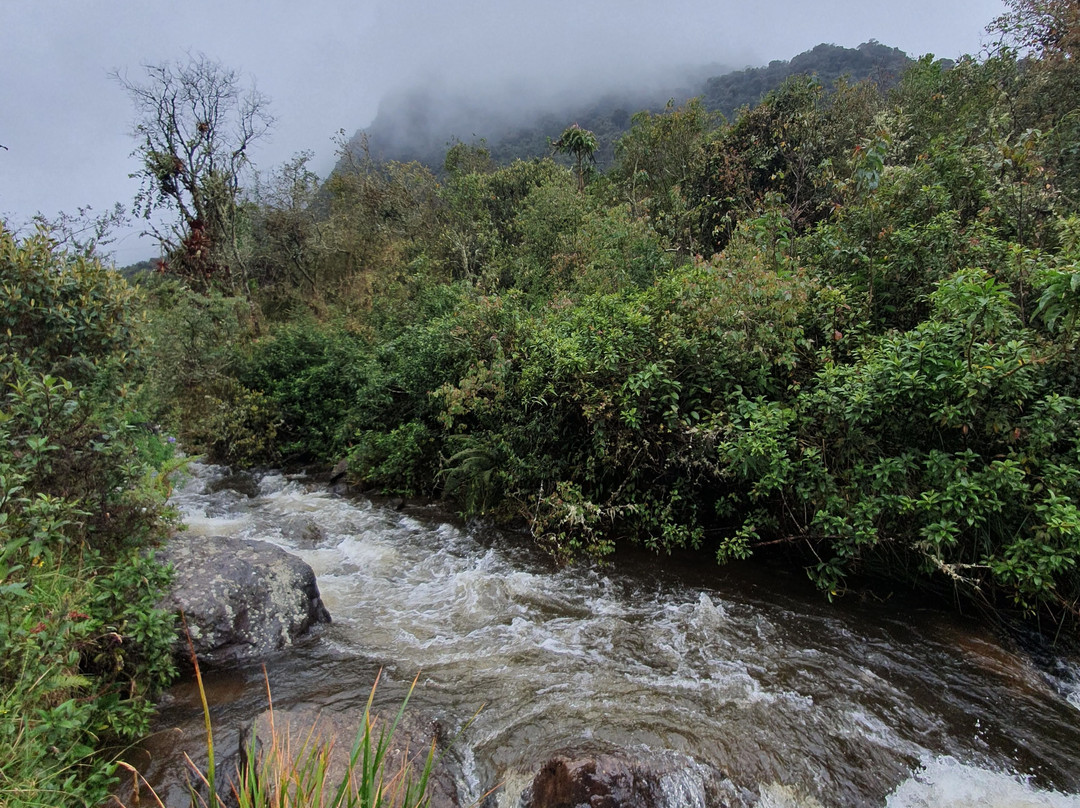 Parque Nacional Cayambe - Coca-Cayambe必去景点