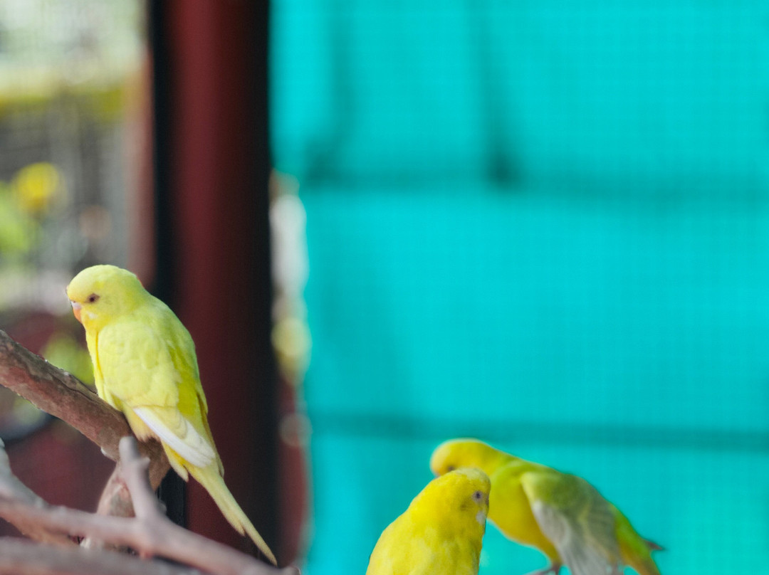 Enteveedu Homestay主图