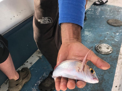 Pepe Boat Fishing Lanzarote-卡拉罗港口必去景点