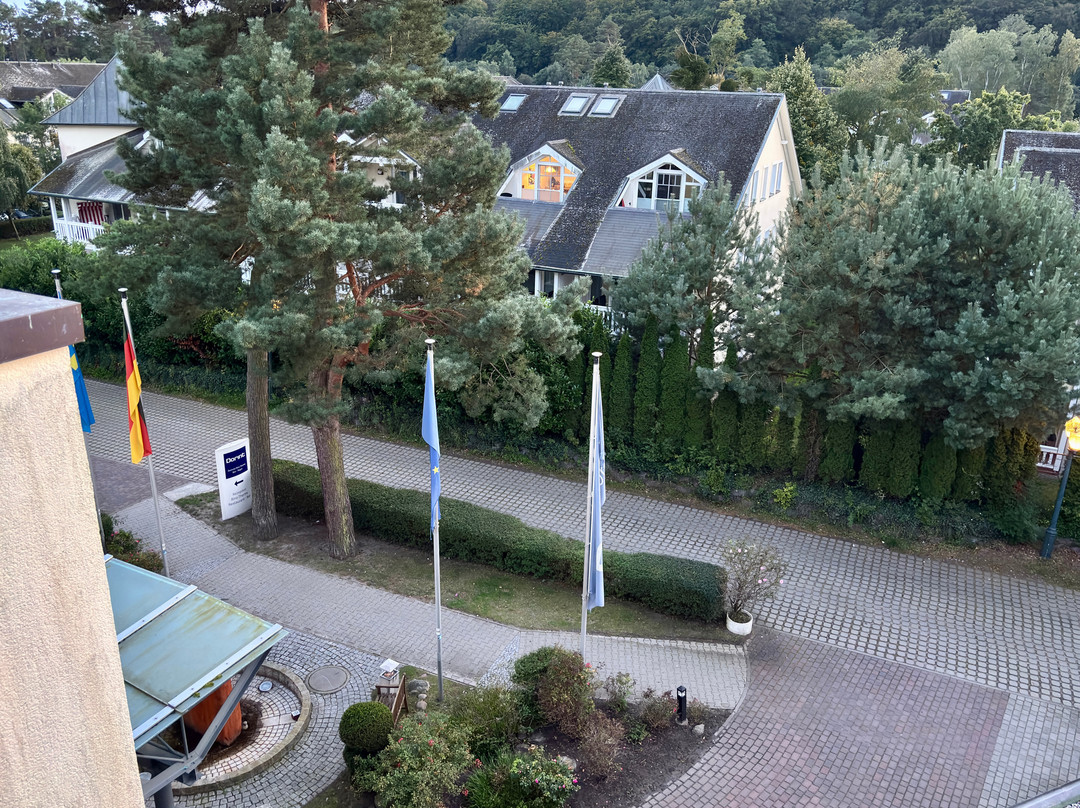 Dorint Seehotel Binz Therme Ruegen主图