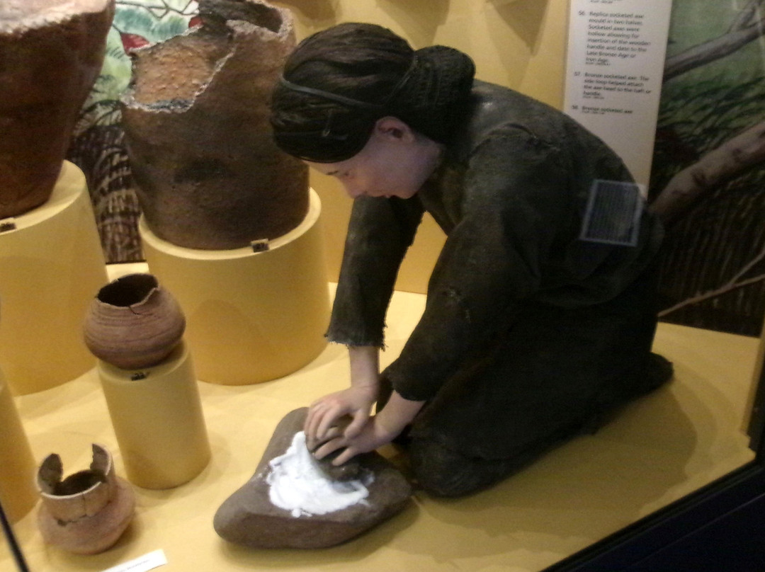 Lynn Museum-金斯林必去景点