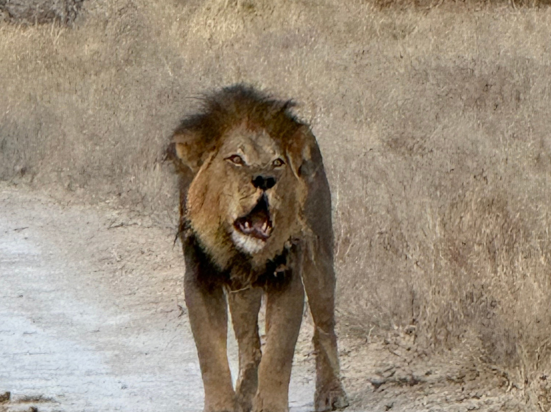 Africa Explore Safaris-开普敦必去景点