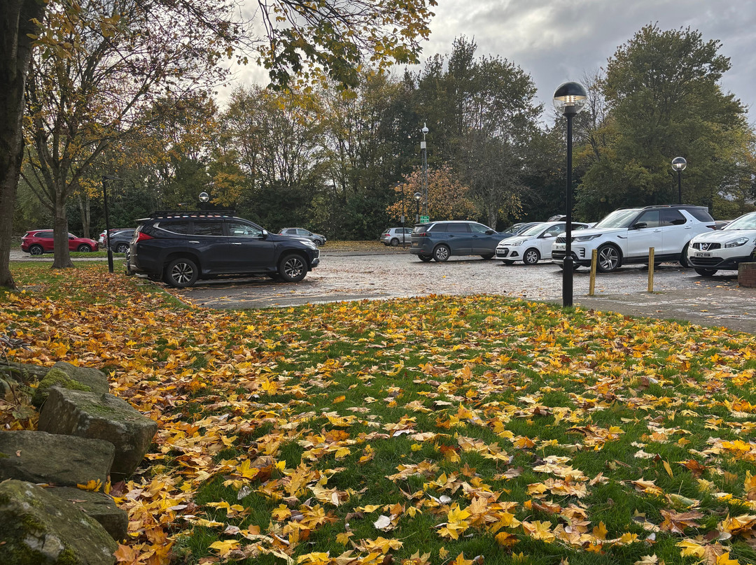 Travelodge Oswestry主图