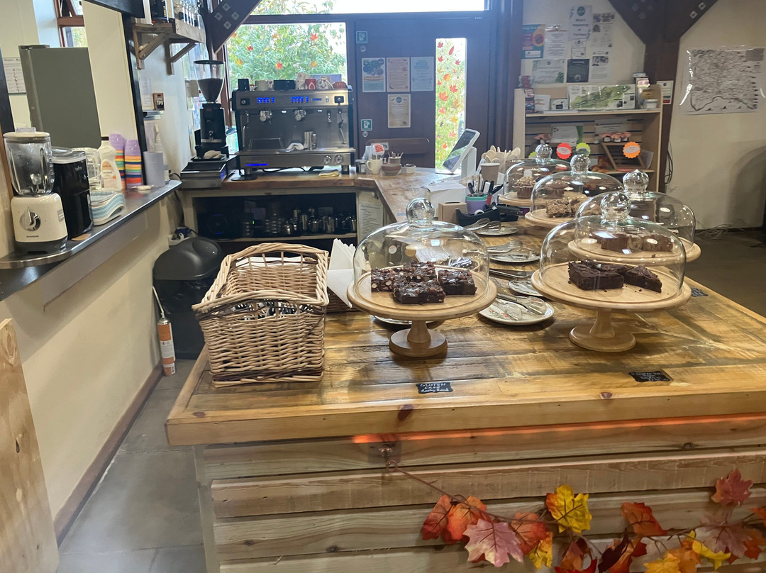 Romney Marsh Visitor Centre-New Romney必去景点