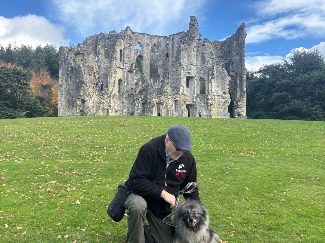 Old Wardour Castle-Tisbury必去景点