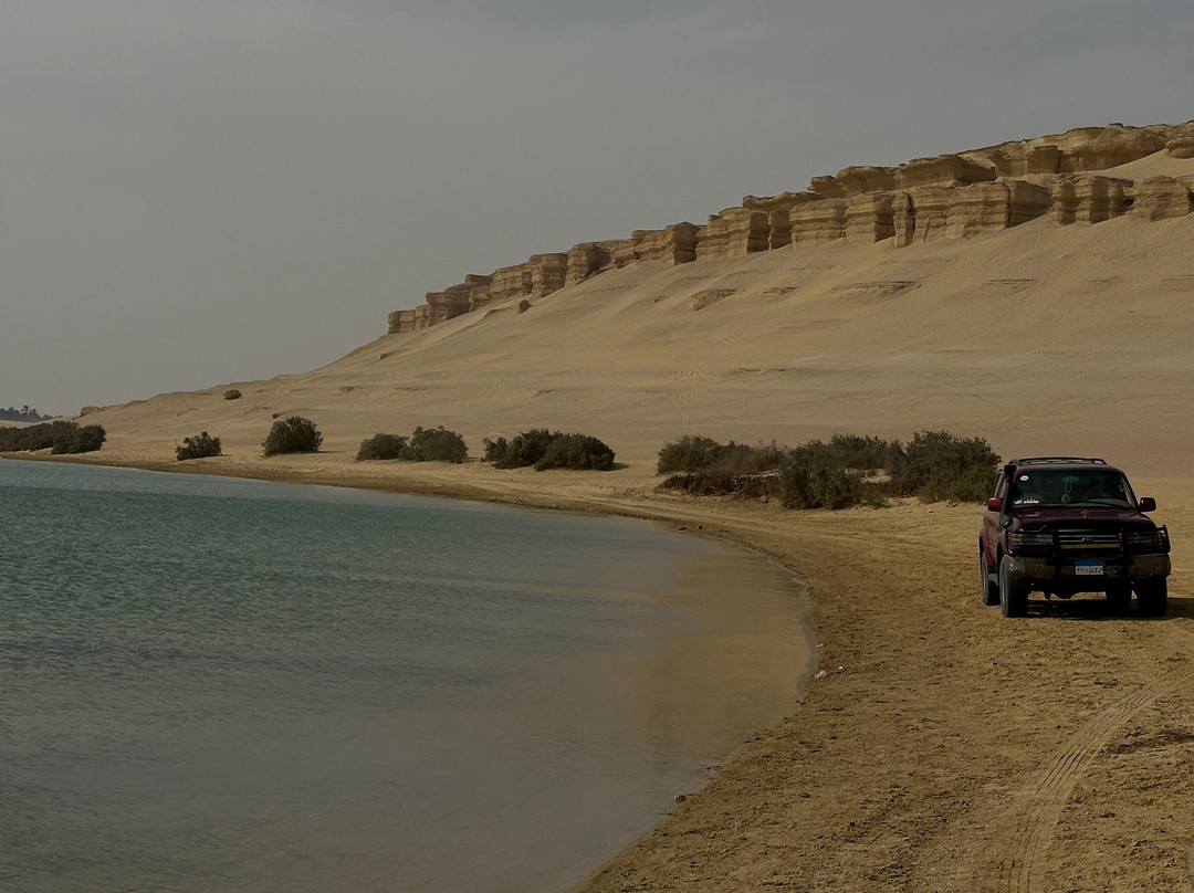 Desert Egypt Safari-开罗必去景点