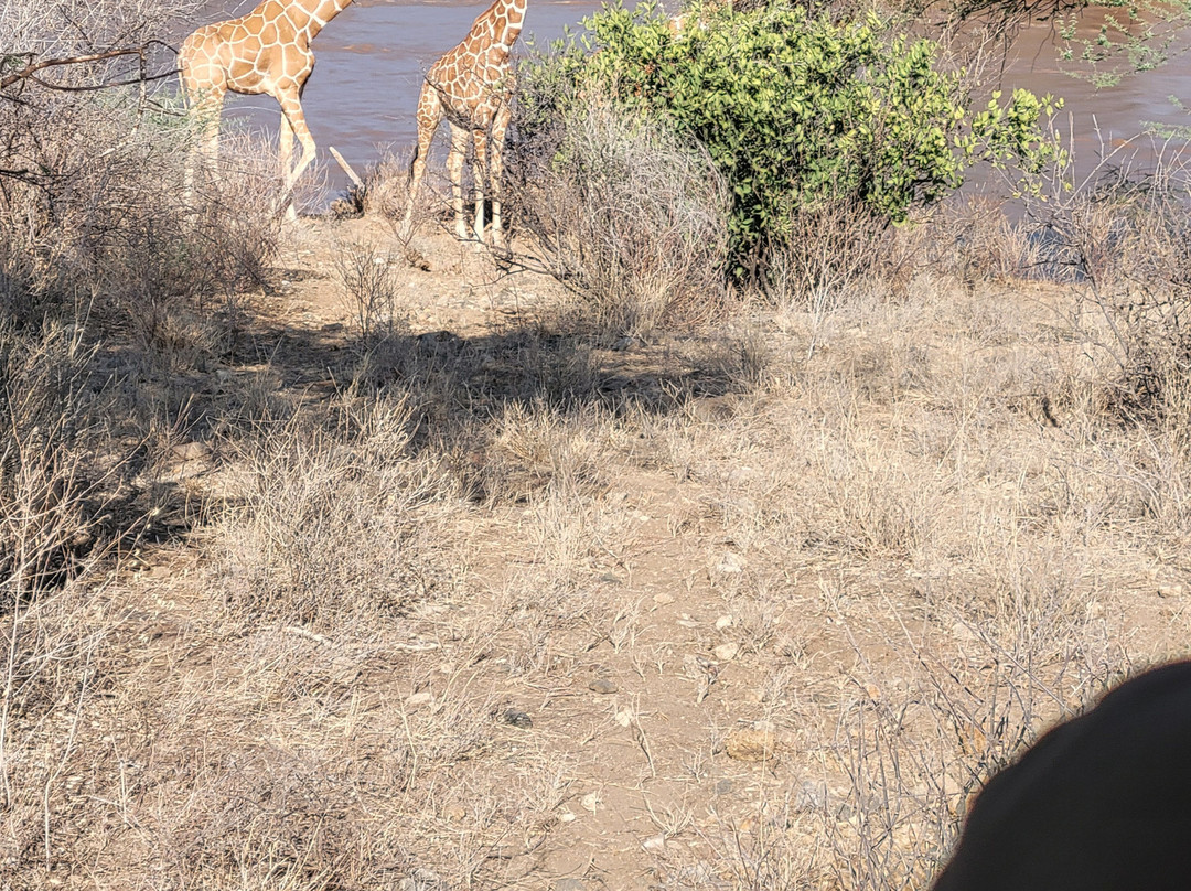 The Olmalaika Trust-Sekenani必去景点