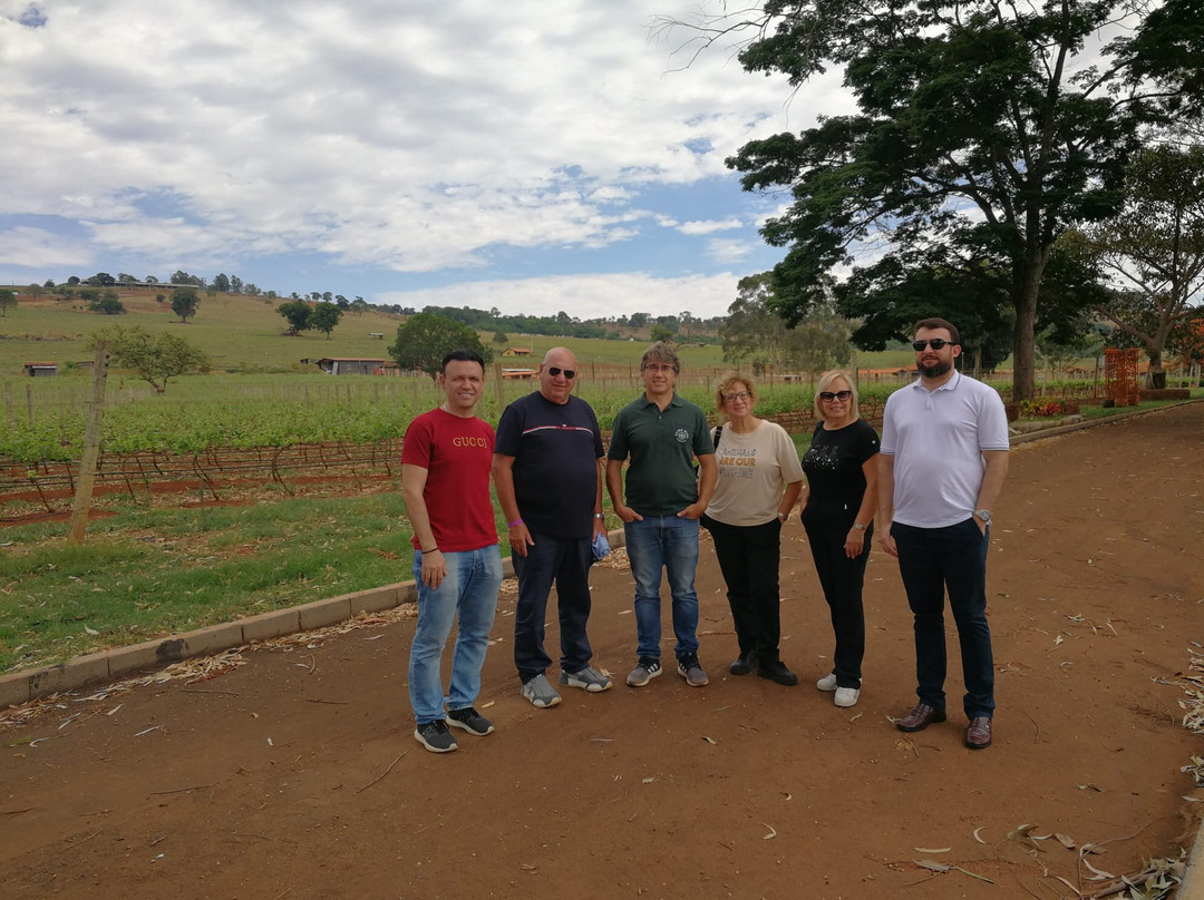 Vinícola Alma Rios-Patos de Minas必去景点