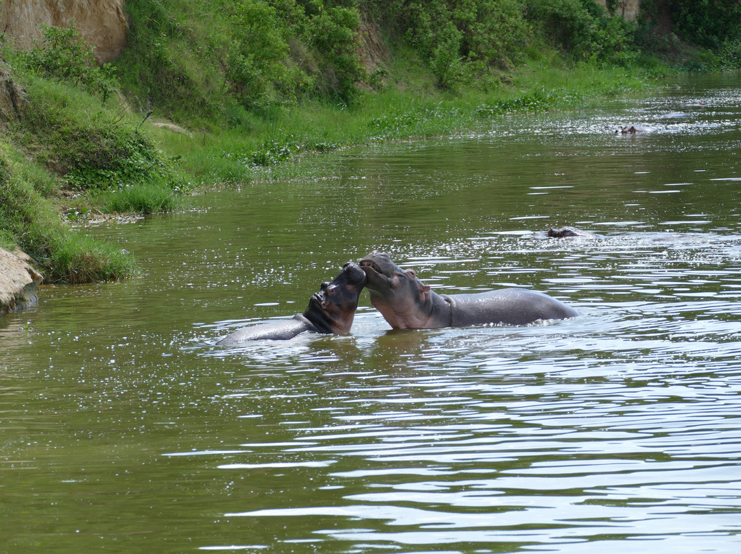Kfir Adventures Ltd-马辛迪必去景点
