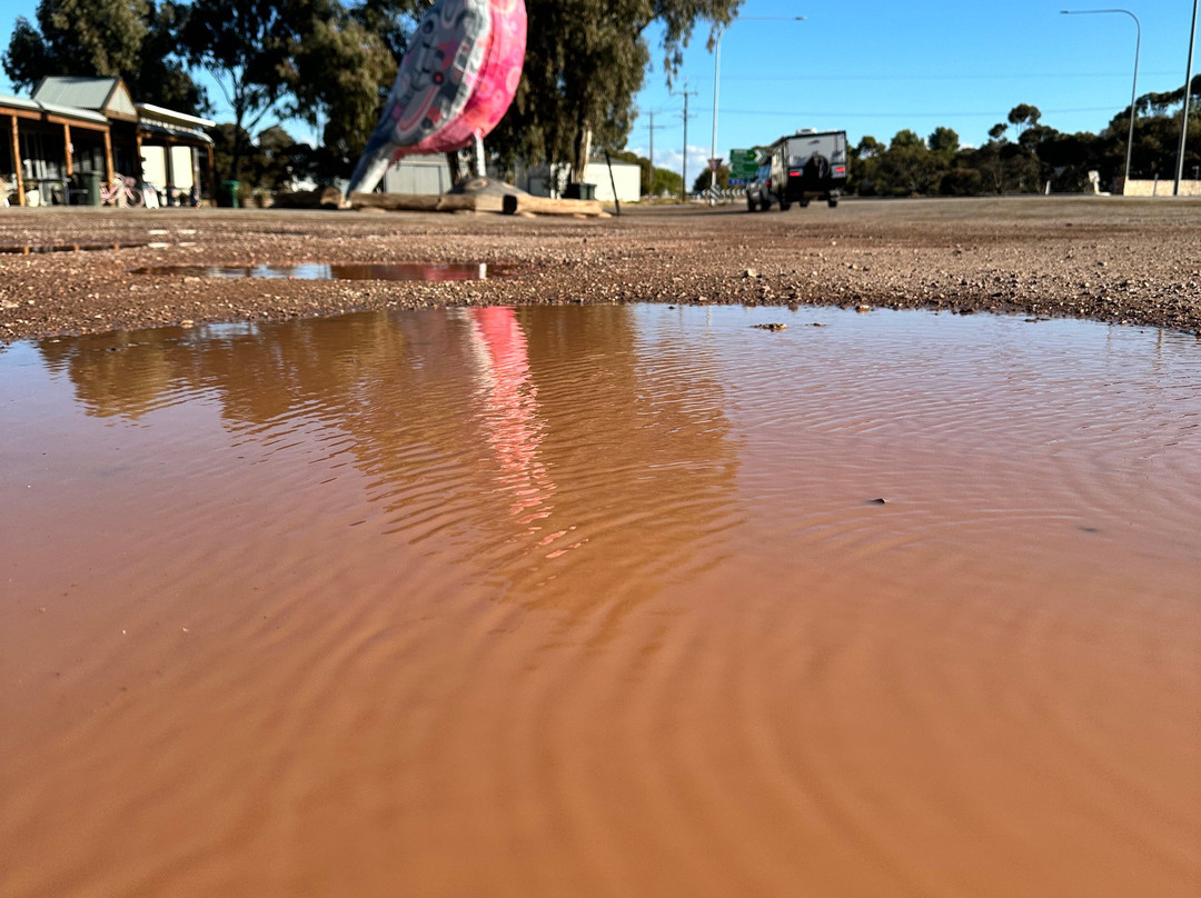 The Big Galah-Kimba必去景点