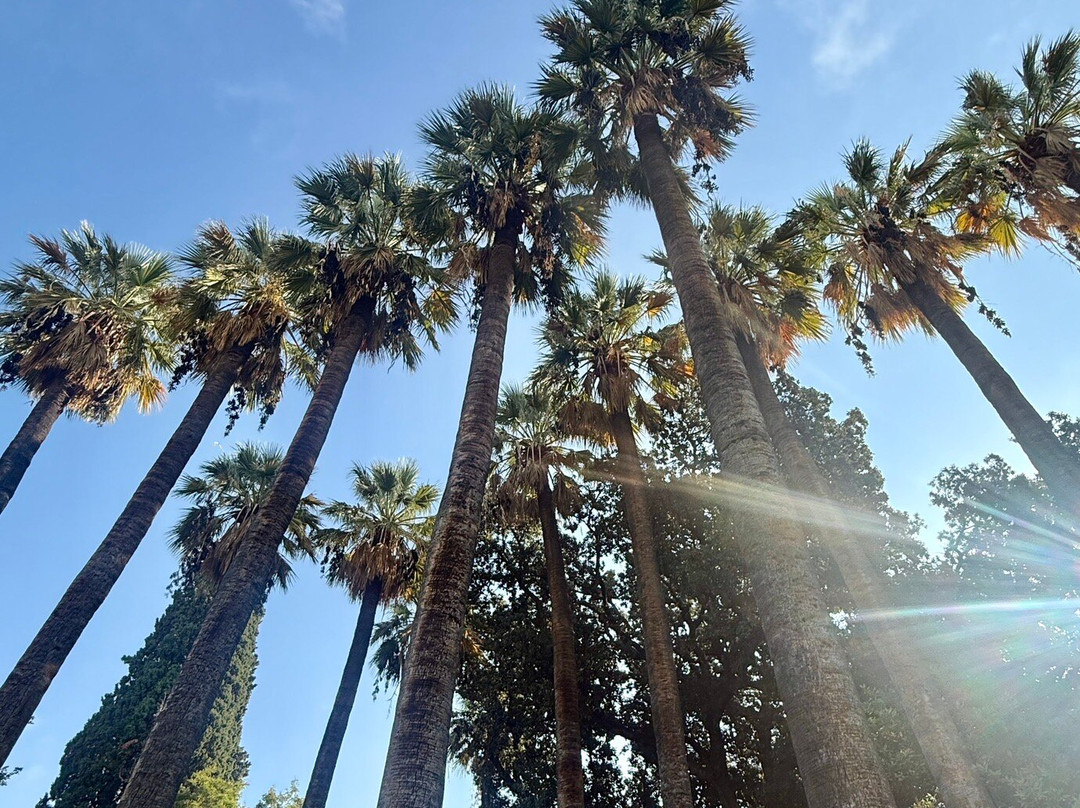 Athens Walking Tours-雅典必去景点