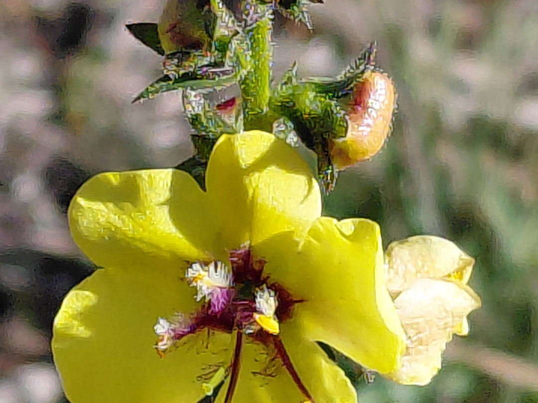Lynx Lake Recreation Area-普雷斯科特必去景点