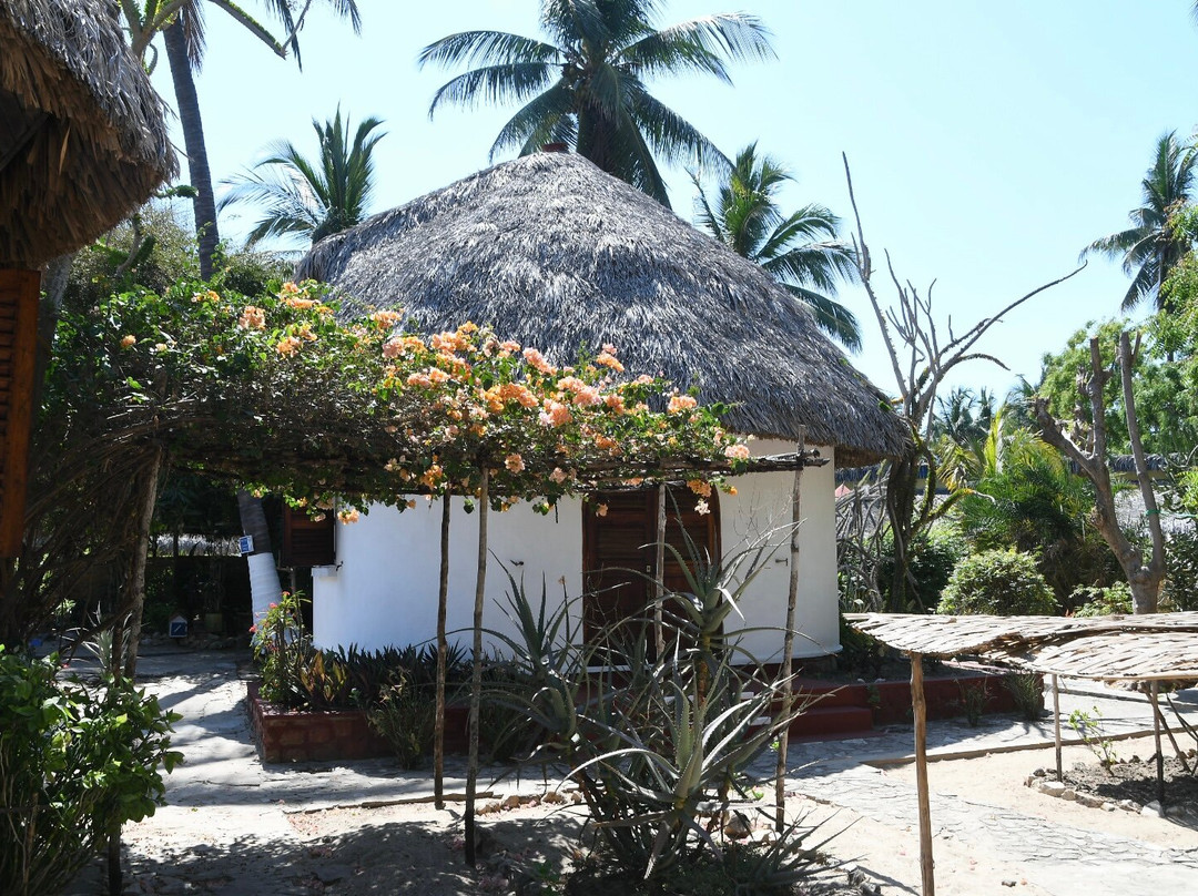 Remote River Expeditions - Madagascar-Morondava必去景点