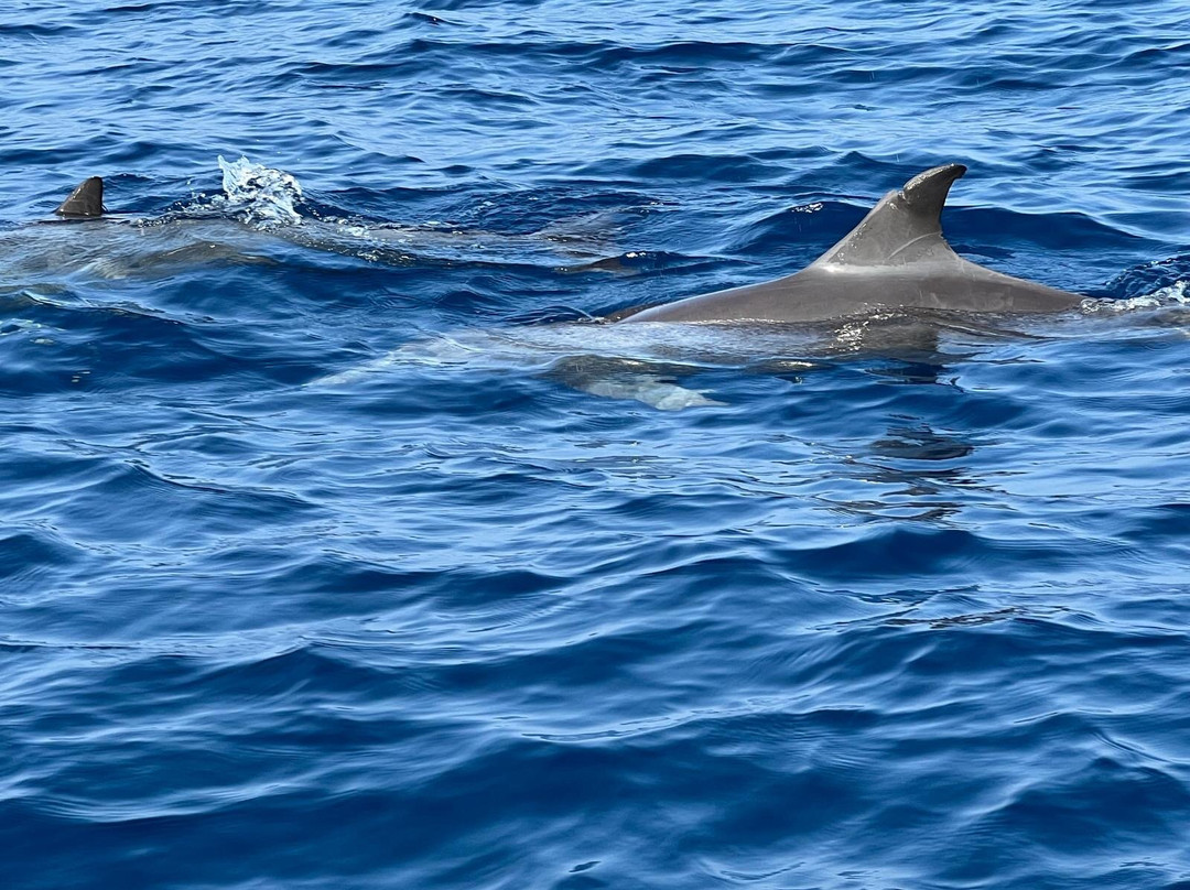 ÄGYPTEN - VIP unvergessliche exclusive Ausflüge mit FARA & HAMADA-Pfungen必去景点