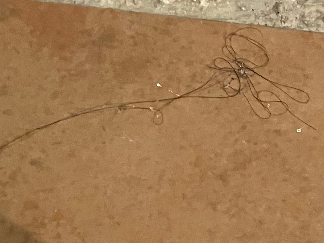 Hotel Bell Port主图