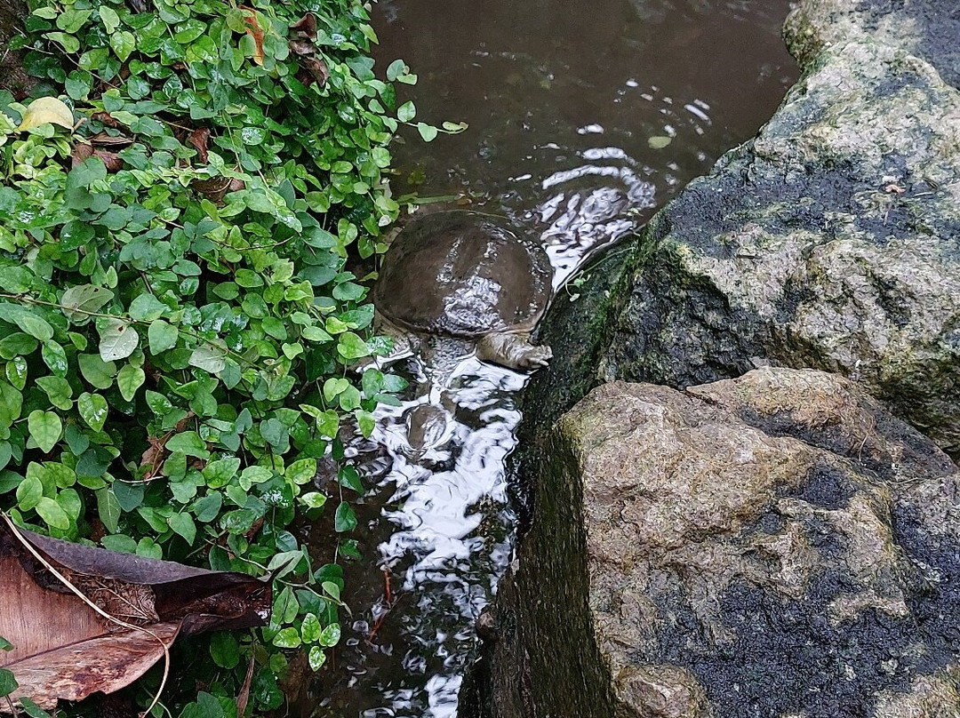 Bugtopia Hornsea Zoo-Hornsea必去景点