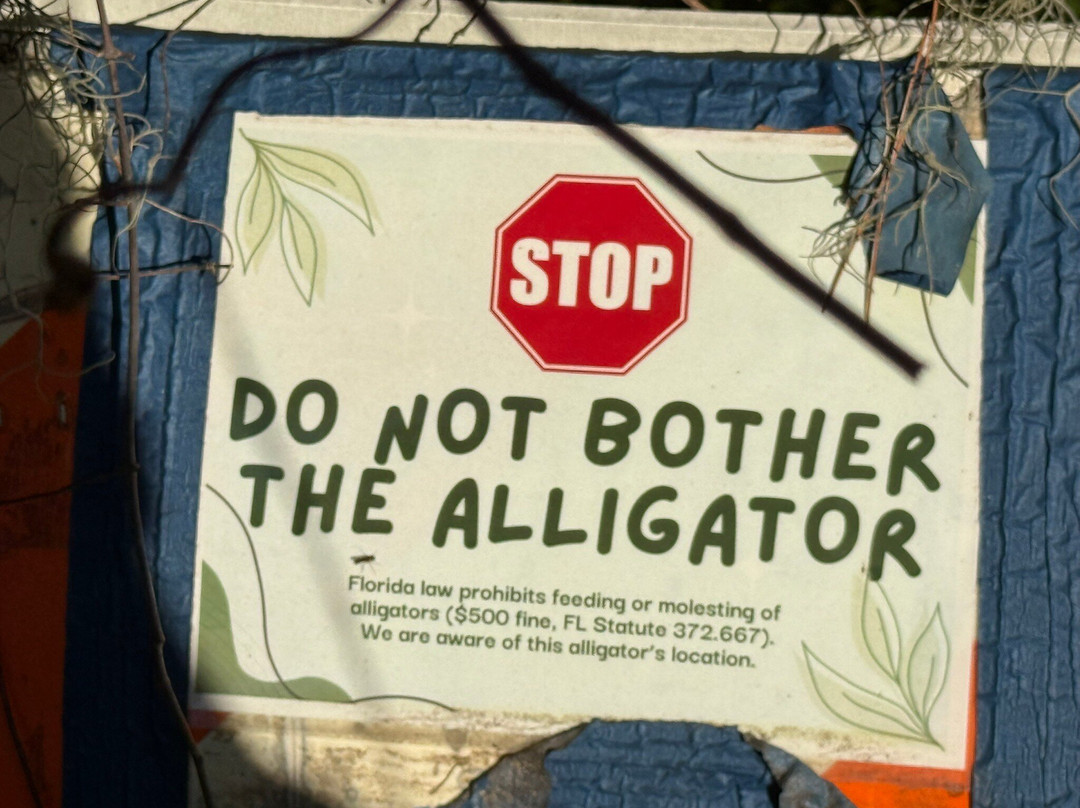 Boyd Hill Nature Preserve-圣彼德斯堡必去景点