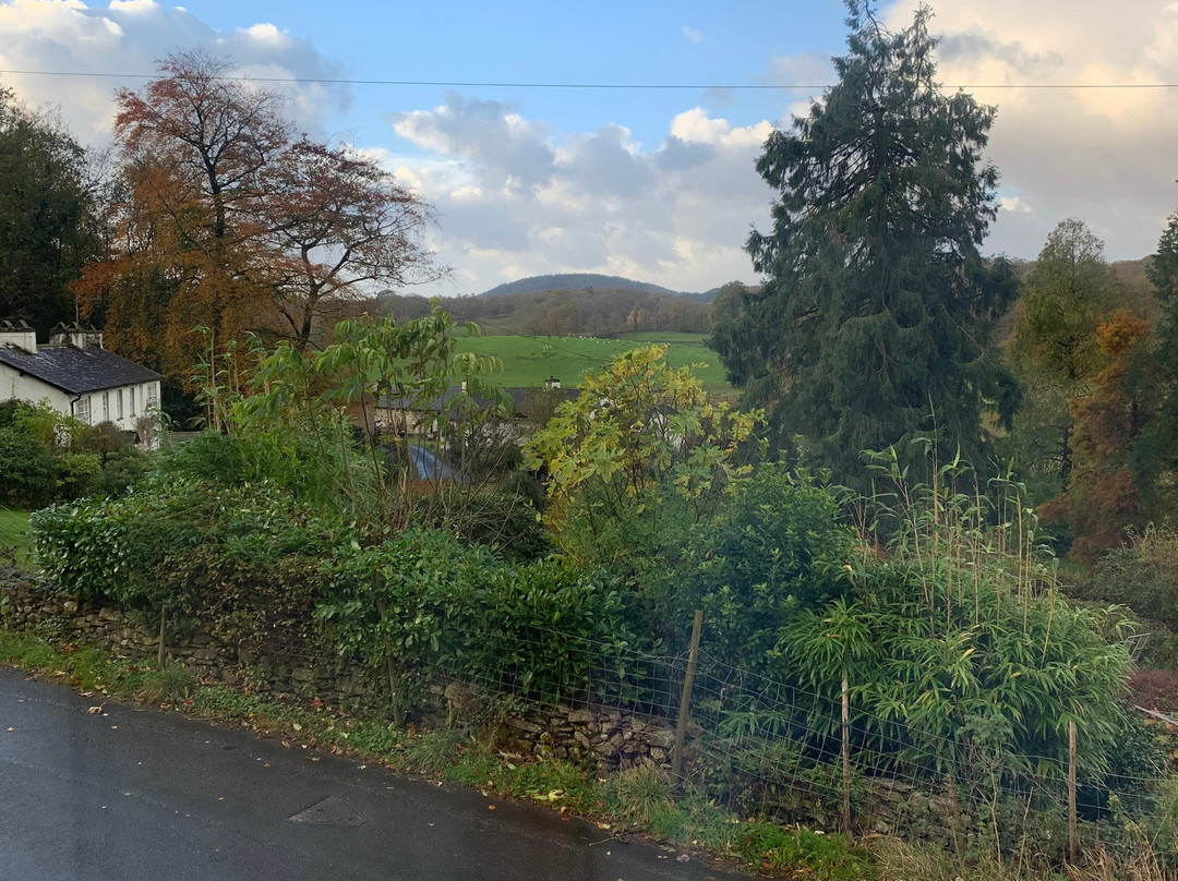 布谷布劳旅馆主图