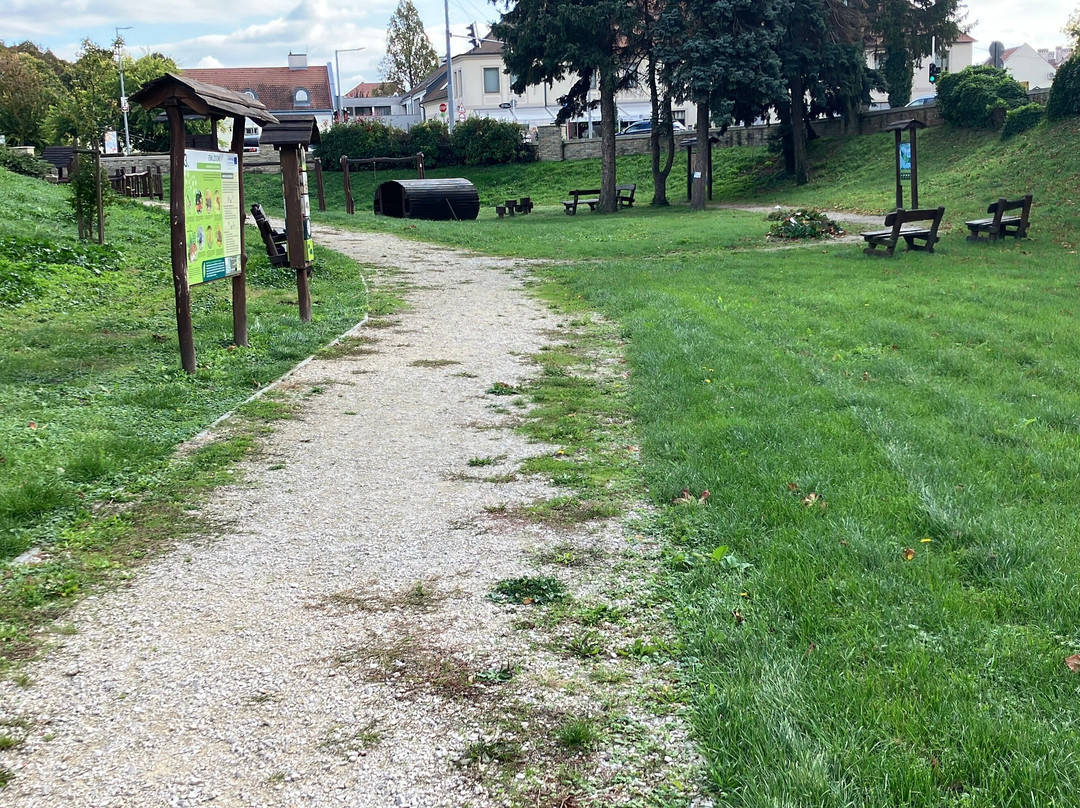 Ökojátszótér Es Tanösvény