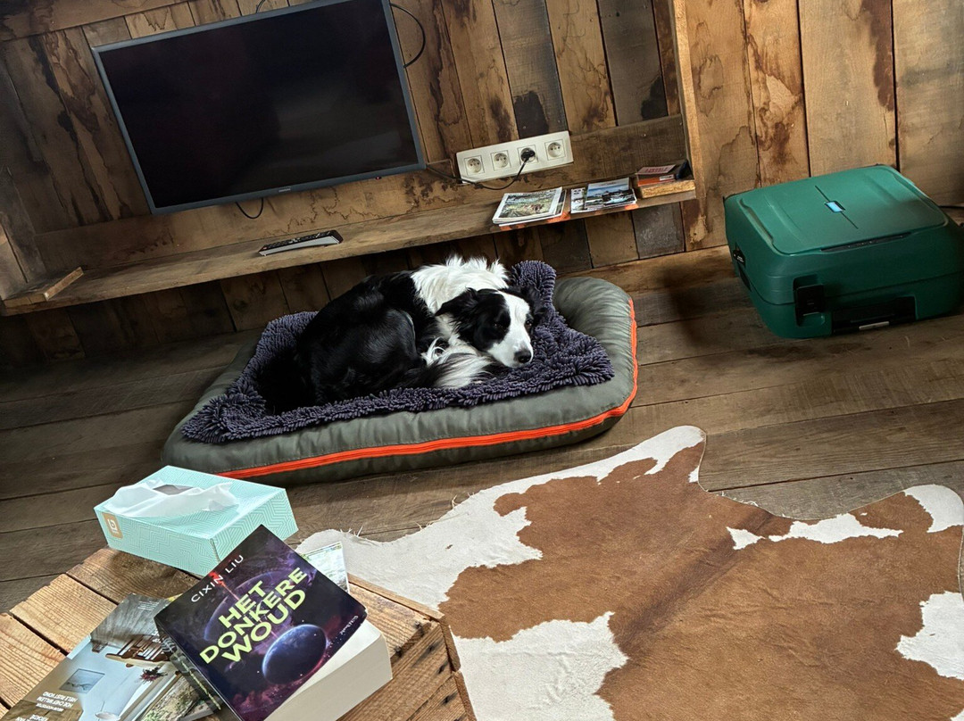 Monsieur Doute主图