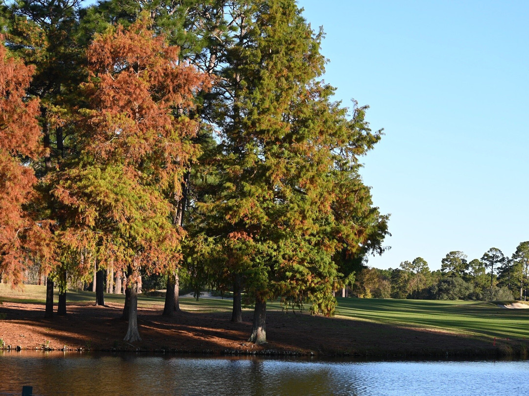 King's North At Myrtle Beach National-美特尔海滩必去景点