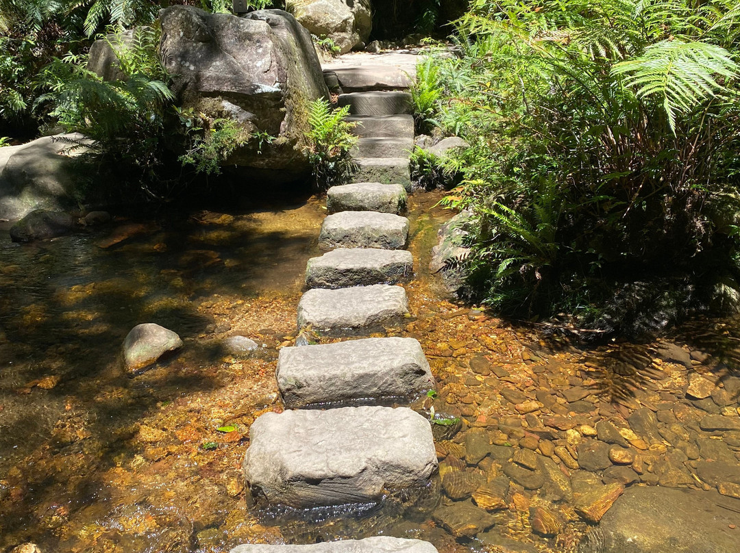 Grand Canyon Track-Blue Mountains National Park必去景点