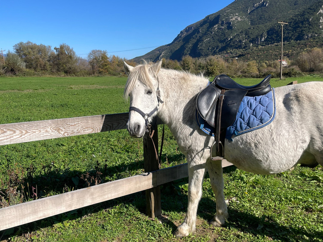 Via Natura-Kleidonia必去景点