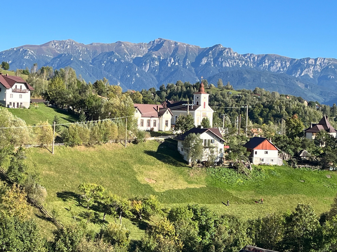 Pension Villa Hermani Magura / Bran主图