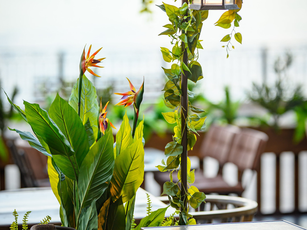 Dion Brunch & Coffee Society主图