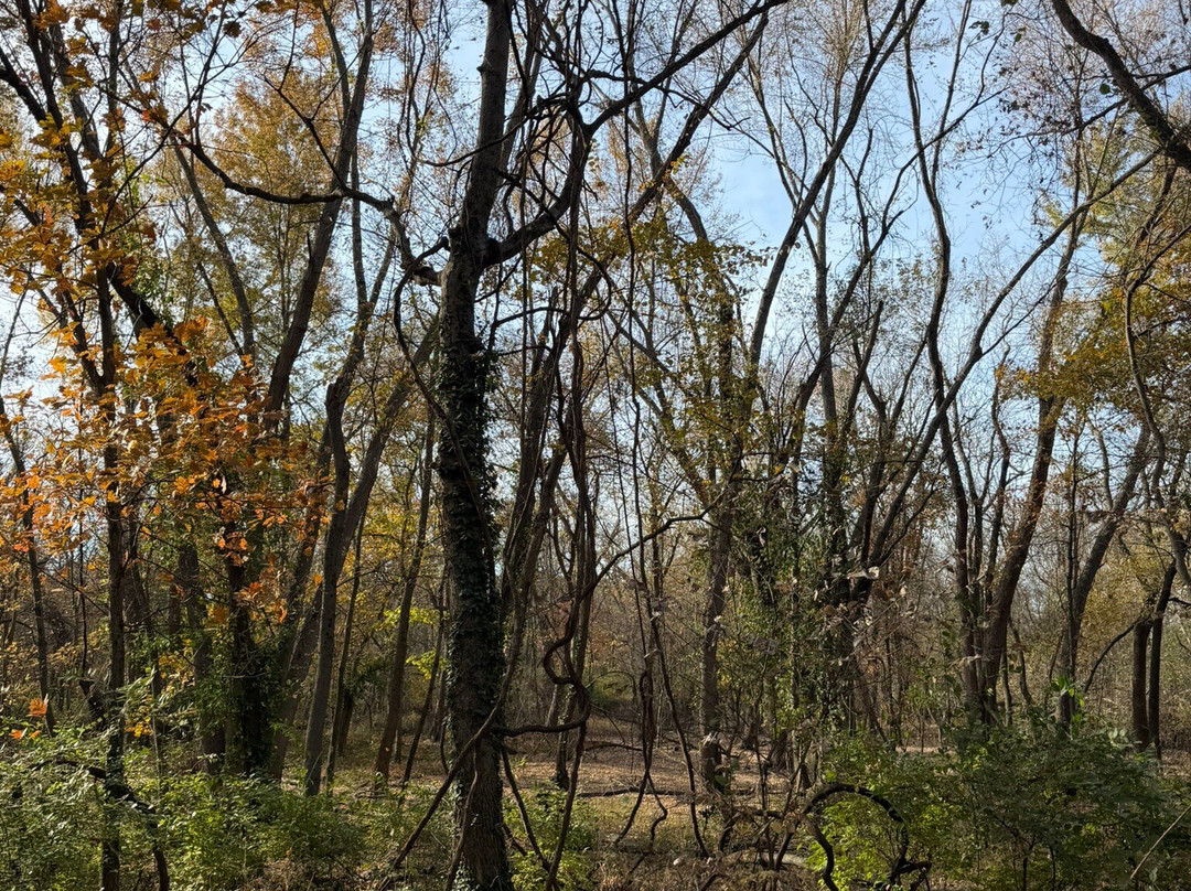 Wilderness Park-Pittsburg必去景点