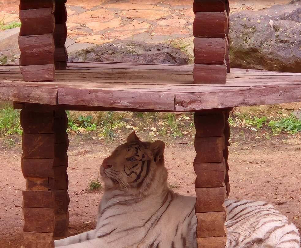 Gaziantep Zoo-加济安泰普必去景点