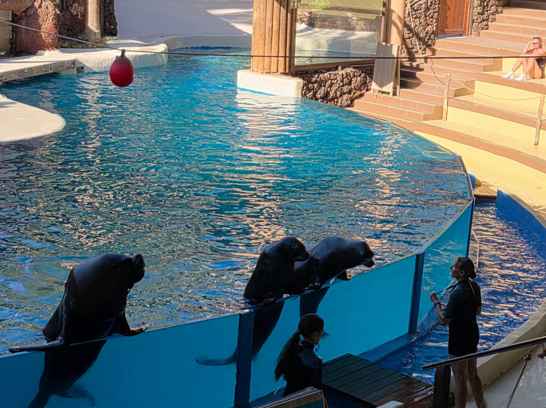 Jardin Botanico-La Lajita必去景点