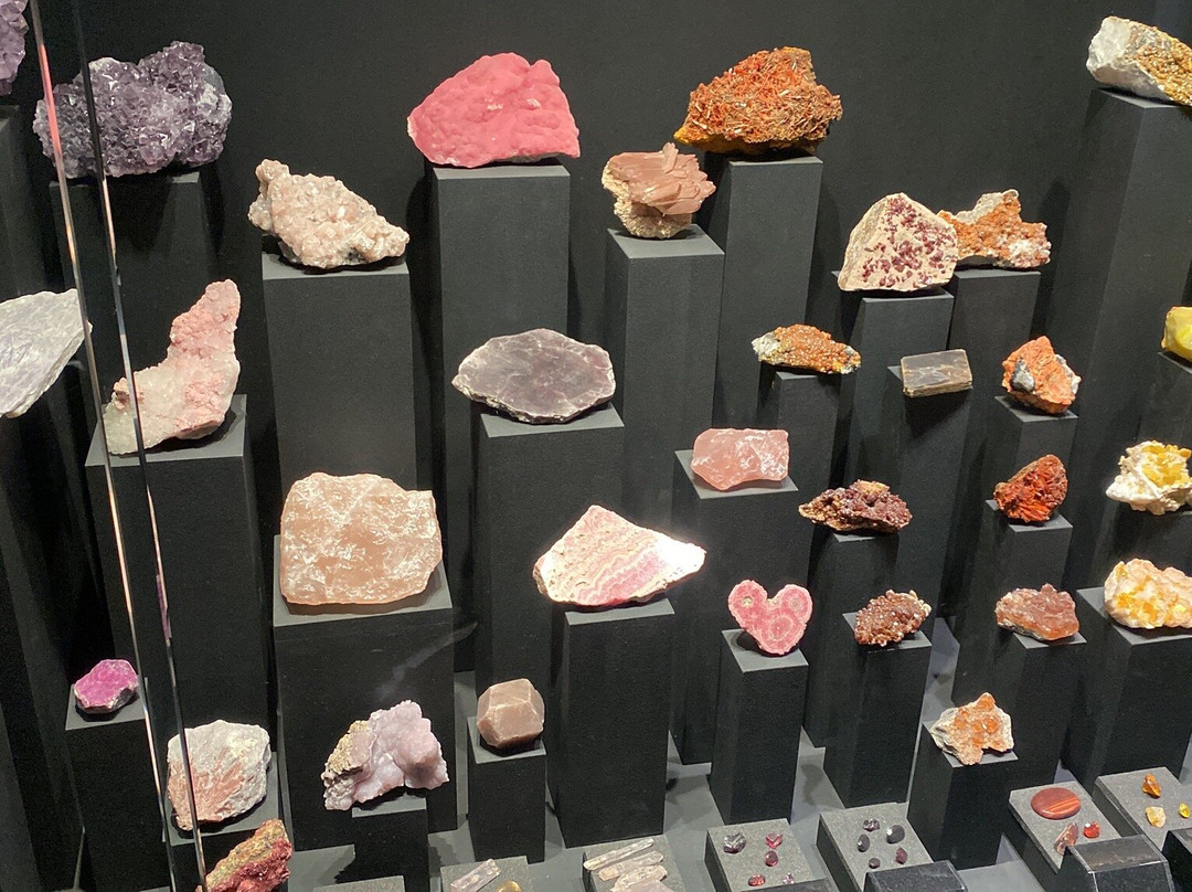 National Museum Cardiff-卡迪夫必去景点