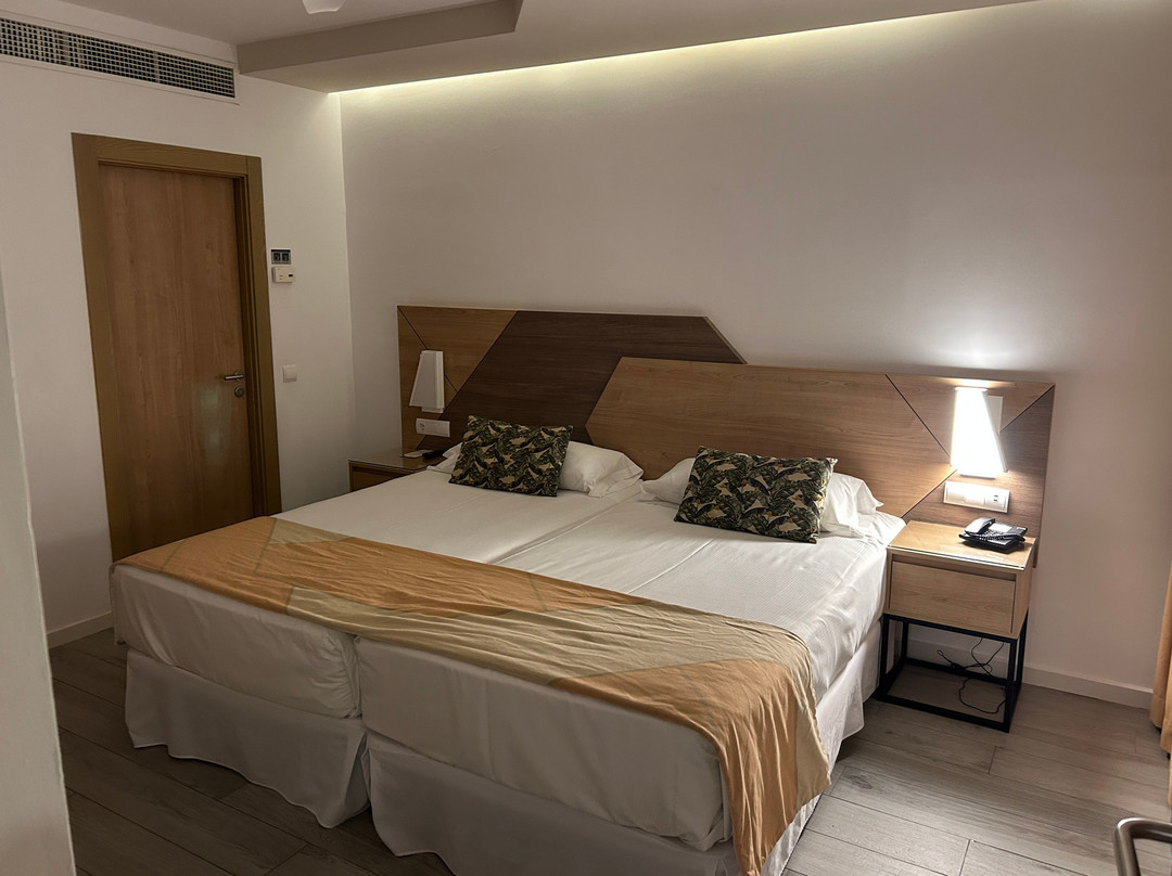 Hotel Riu Buenavista主图