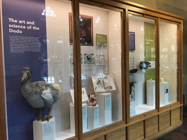 牛津大学自然历史博物馆-牛津必去景点