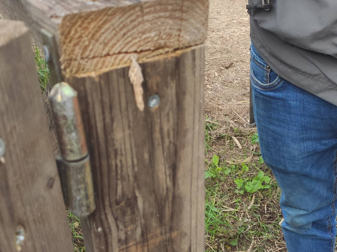 Riserva Naturale Le Cesine-Vernole必去景点