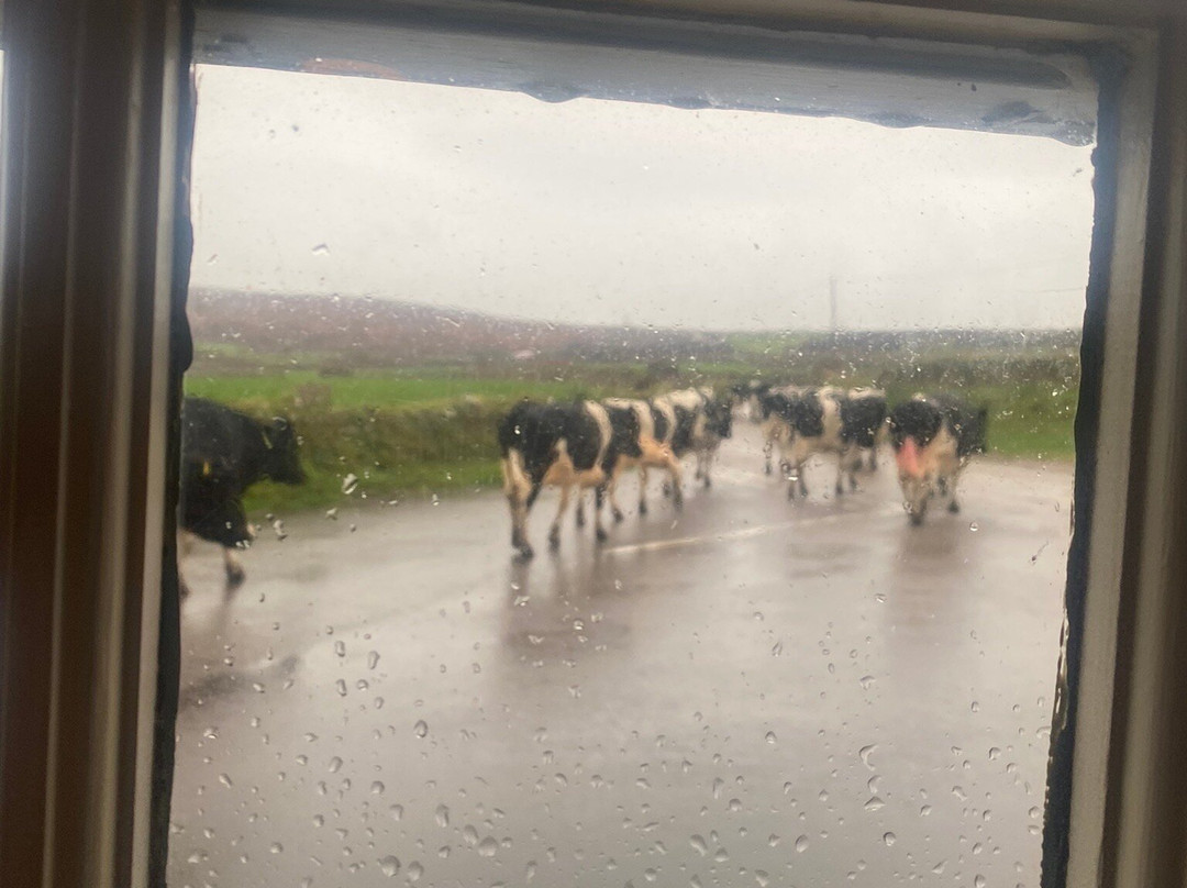 The Gurnard's Head主图