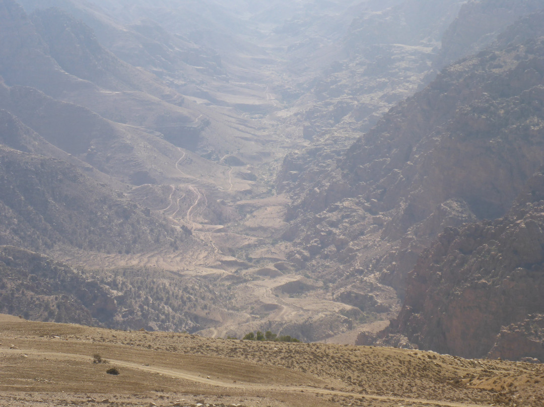 Dana Biosphere Reserve