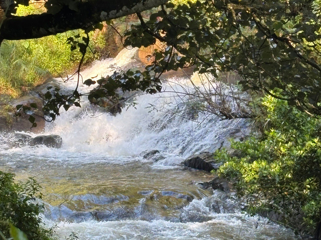 The Weir House主图