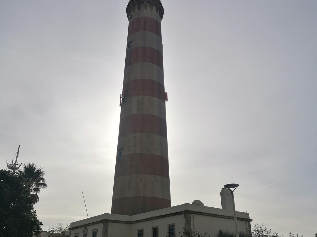 Aveiro Tuk Tours-阿威罗必去景点