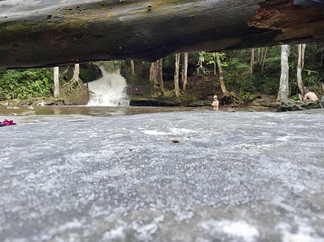 Cachoeira das Orquideas-Presidente Figueiredo必去景点