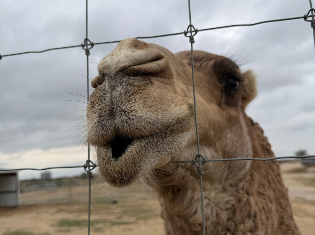 Blue Hills Ranch-McGregor必去景点