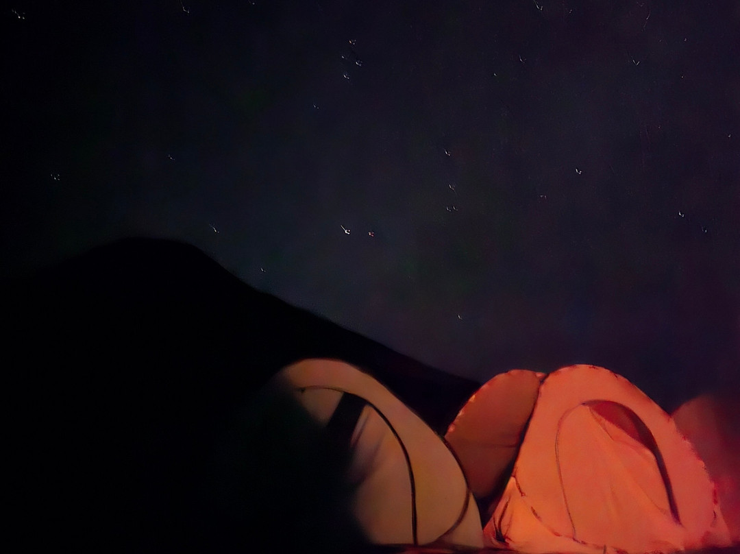 white desert travel-Bahariya Oasis必去景点