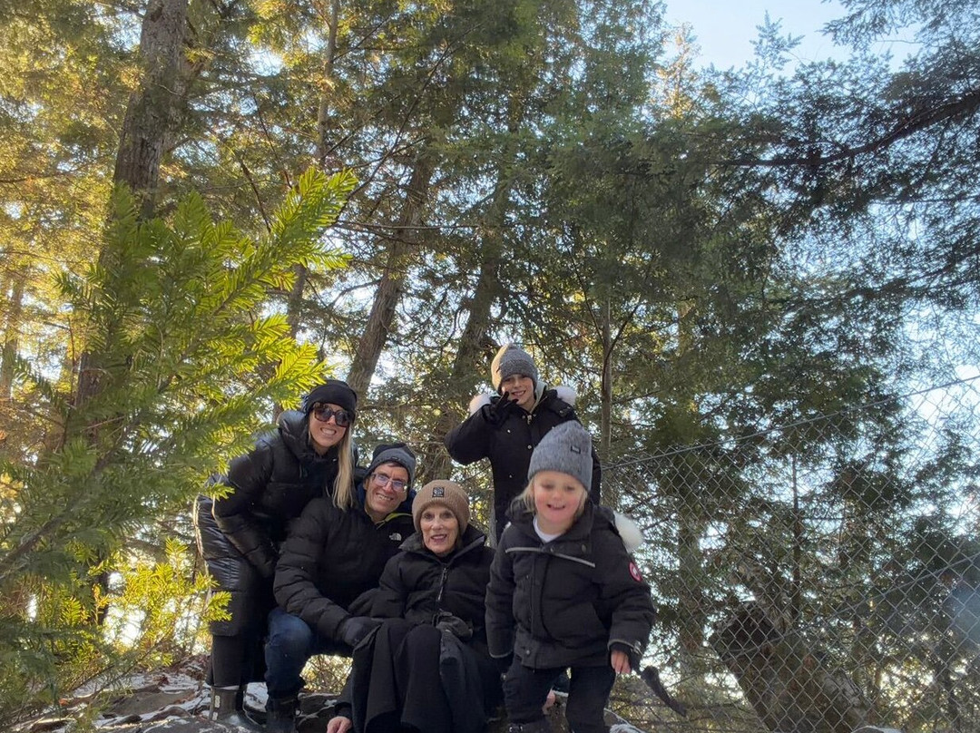 Oxtongue River-Ragged Falls Provincial Park-Dwight必去景点