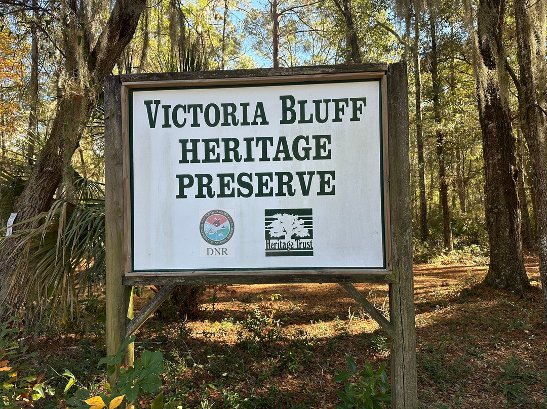 Victoria Bluff Heritage Preserve-布拉夫顿必去景点