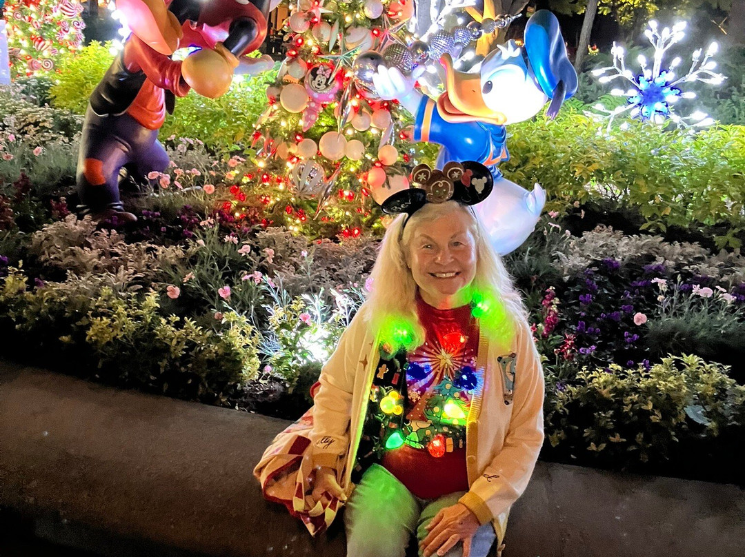 迪士尼城-阿纳海姆必去景点