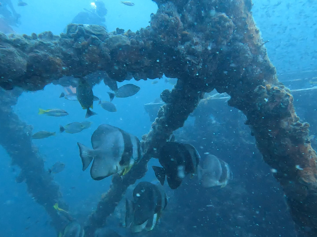 Koh Chang Divers-象岛必去景点