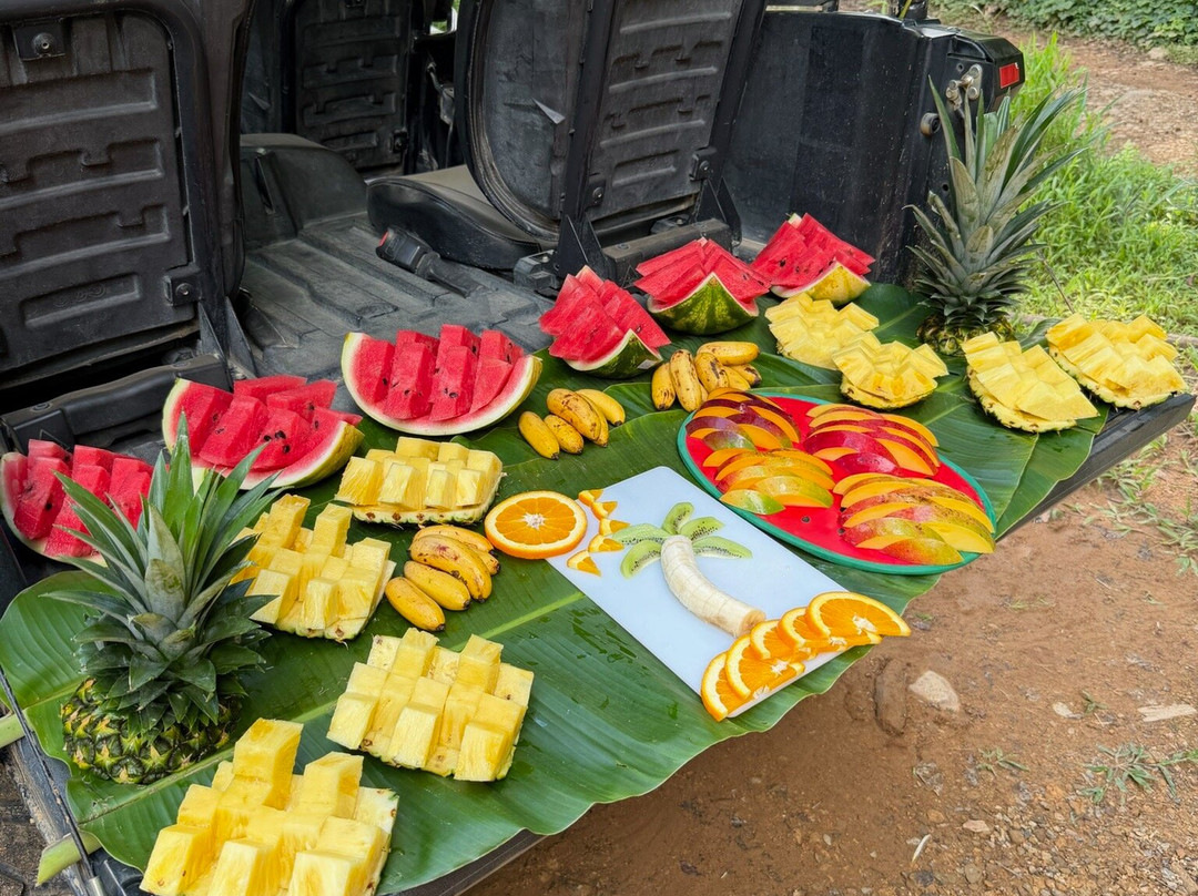 Jungle ATV Quad Tours-乌维塔必去景点